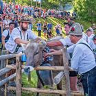 Der Viehscheidplatz in Nesselwang im Allgäu 