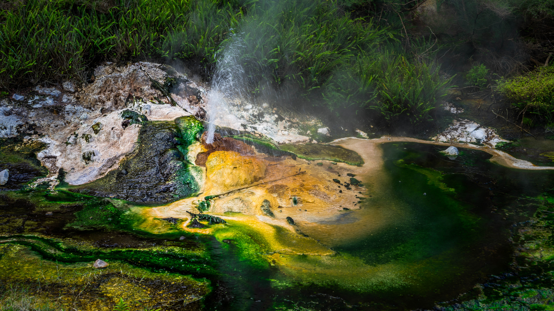 Der vielleicht kleinste Geysir der Welt ;-)