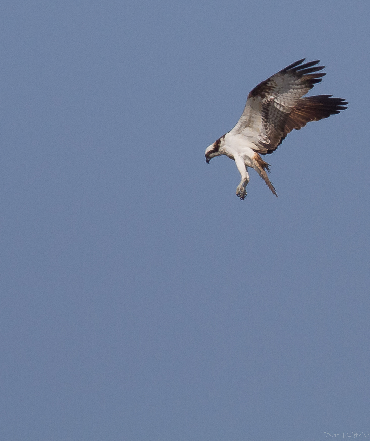 Der vierte Anflug