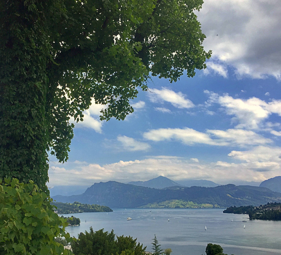 Der Vierwaldstättersee ...