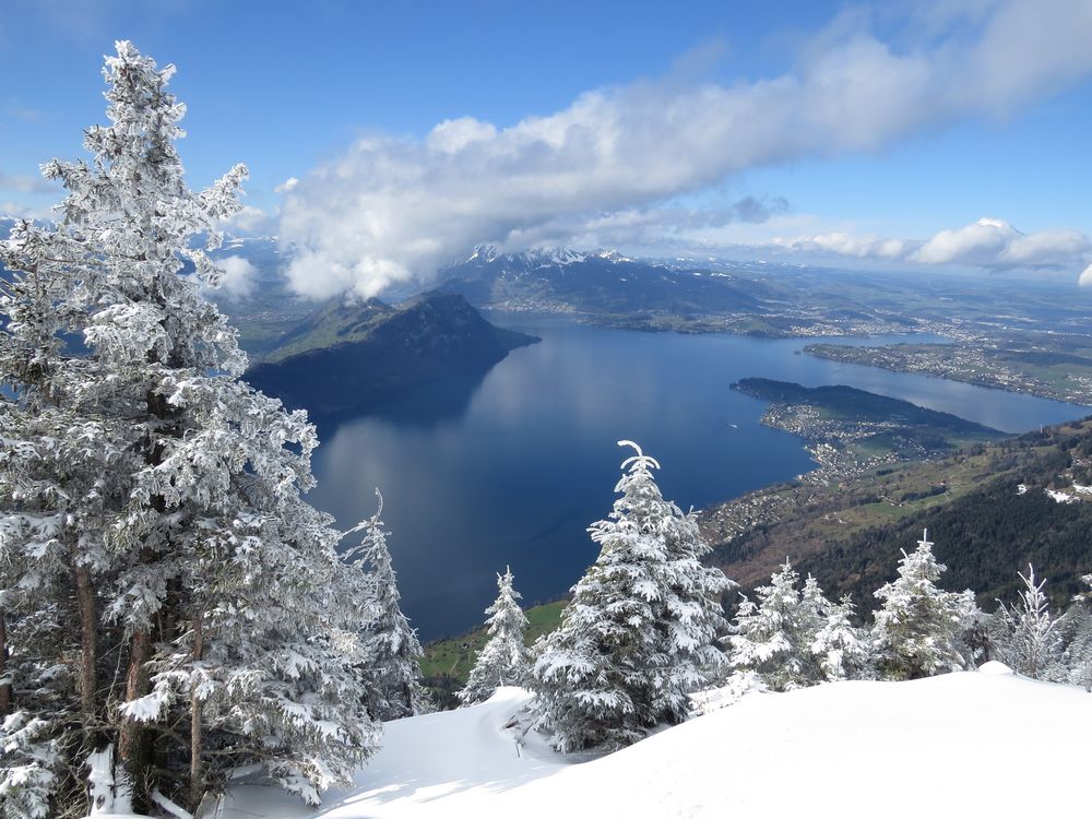 Der Vierwaldstättersee im Winter