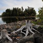 Der Vildmarksvägen bei Gubbhögen