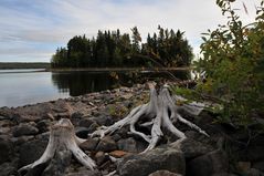 Der Vildmarksvägen bei Gubbhögen