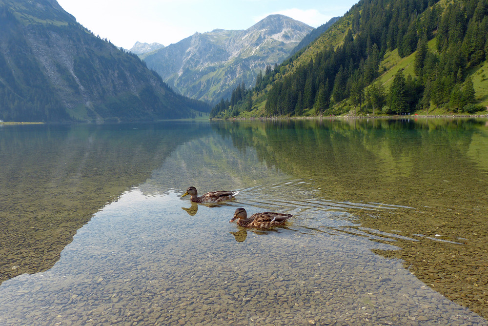 Der Vilsalpsee