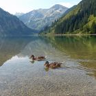 Der Vilsalpsee