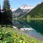 Der Vilsalpsee im Frühling