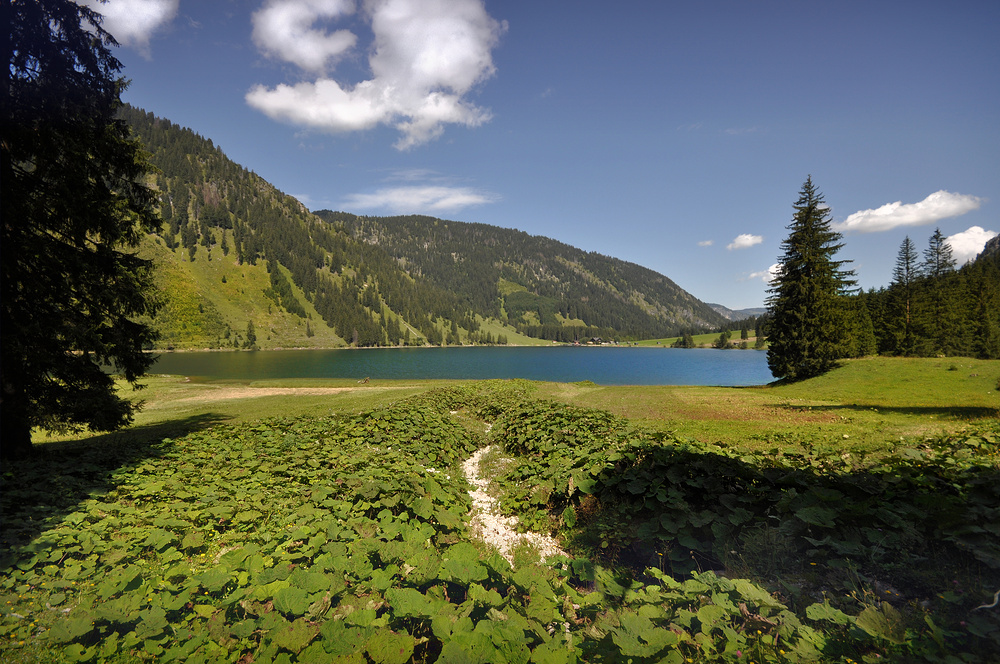 Der Vilsalpsee im Tannheimer-Tal......................