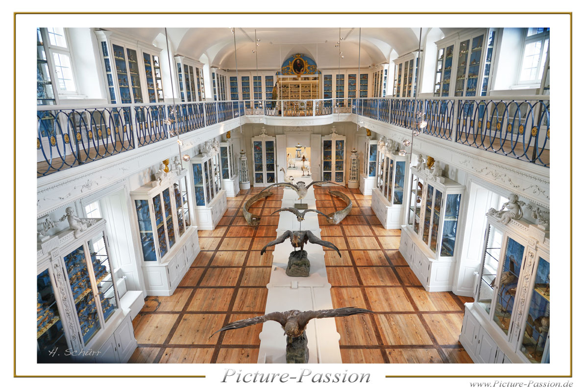 Der Vogel Saal im Bamberg