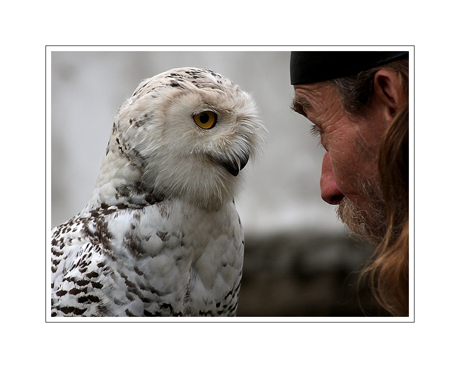 Der Vogelflüsterer 2