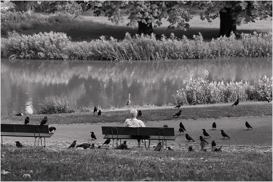 Der 'Vogelflüsterer'