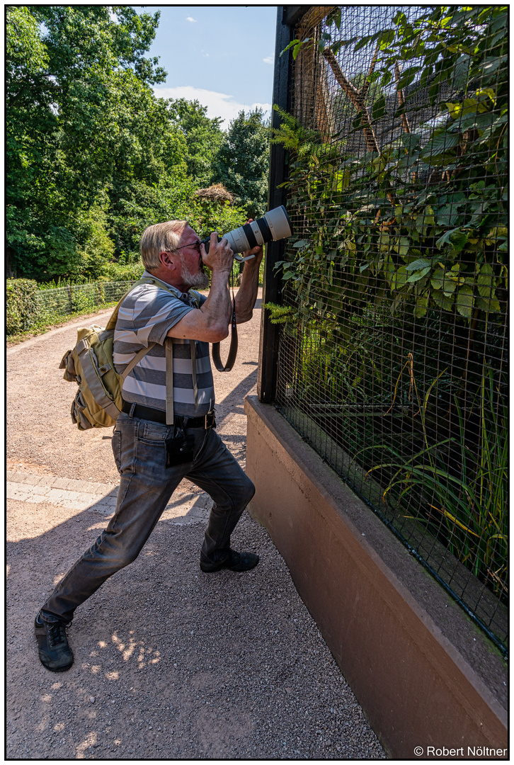 Der Vogelpark in Steinen (LÖ) 06