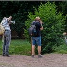 Der Vogelpark in Steinen (LÖ)