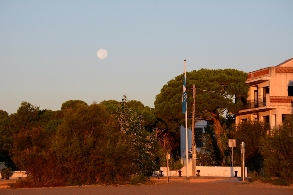 der Vollmond am Morgen