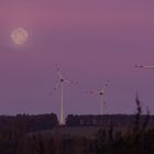 Der Vollmond im Untergang