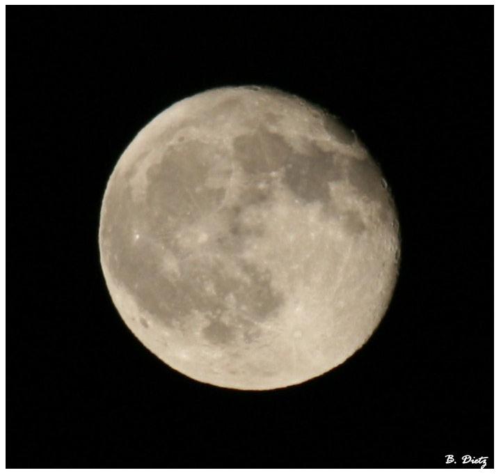 Der Vollmond ist aufgegangen