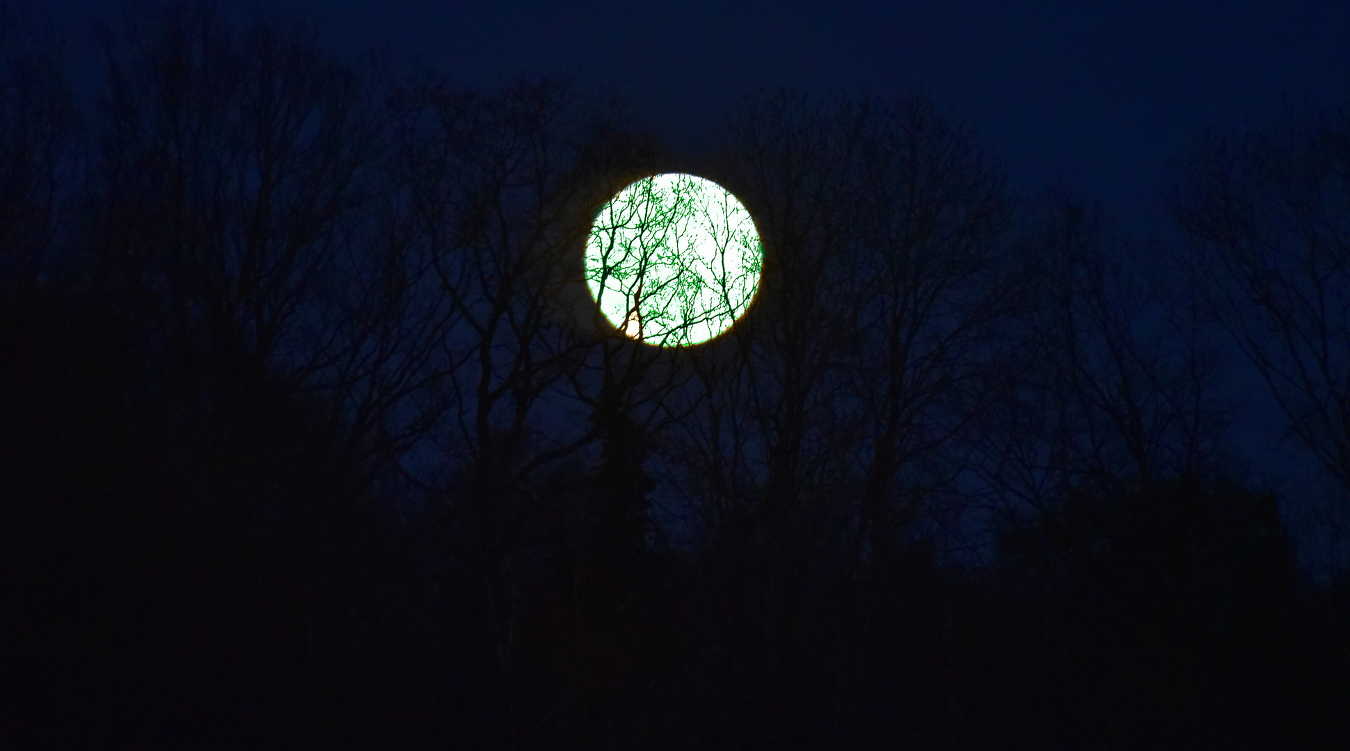 Der Vollmond ist aufgegangen - hinter dem Wald