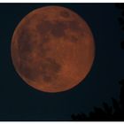 Der Vollmond kann sich nun ausruhen 4. Juli 2012