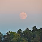 Der Vollmond kommt