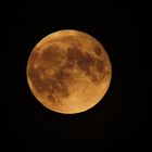 der Vollmond vom 27.10.2015 um 18.50 Uhr