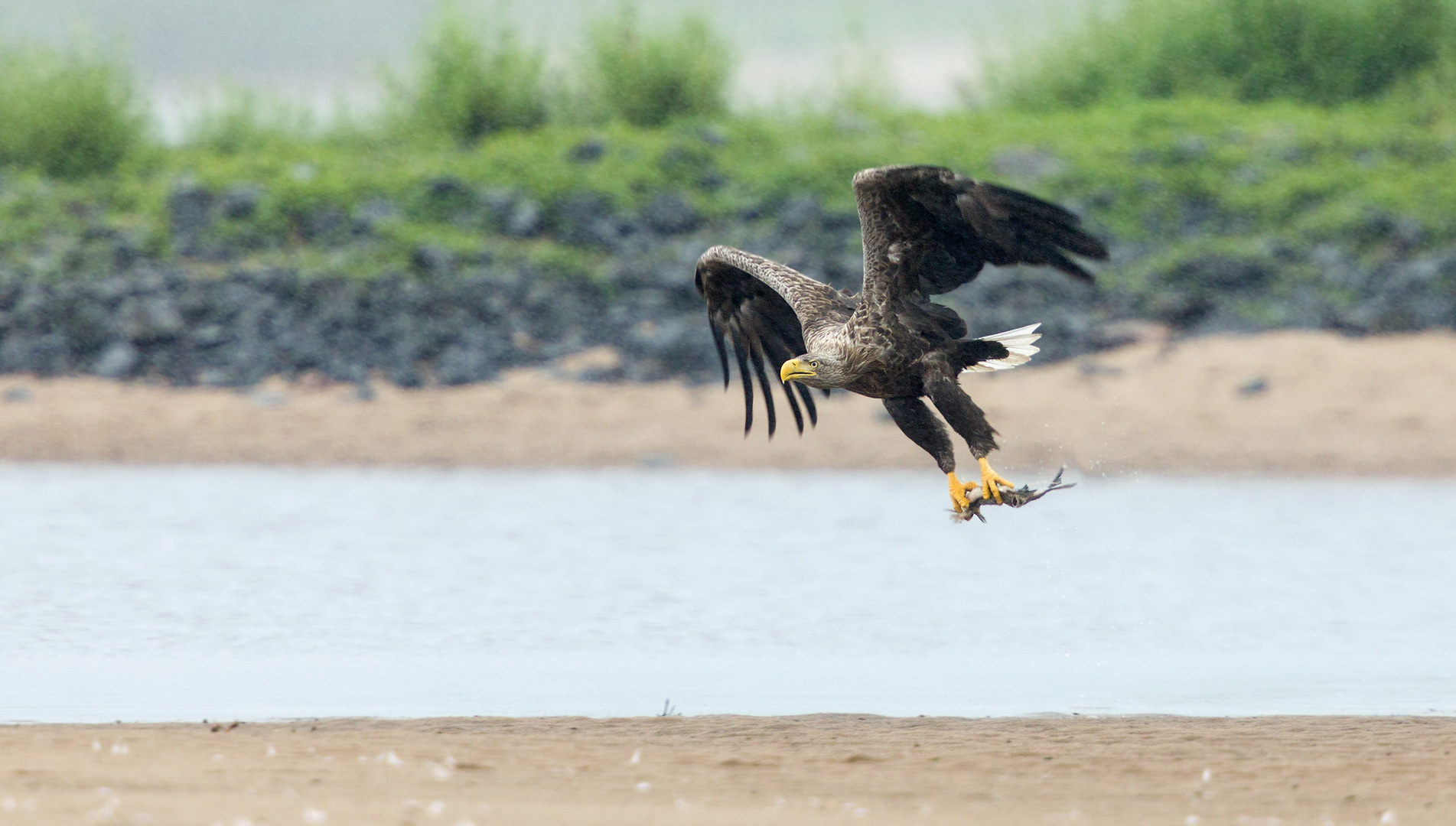 Der Vorbeiflug...