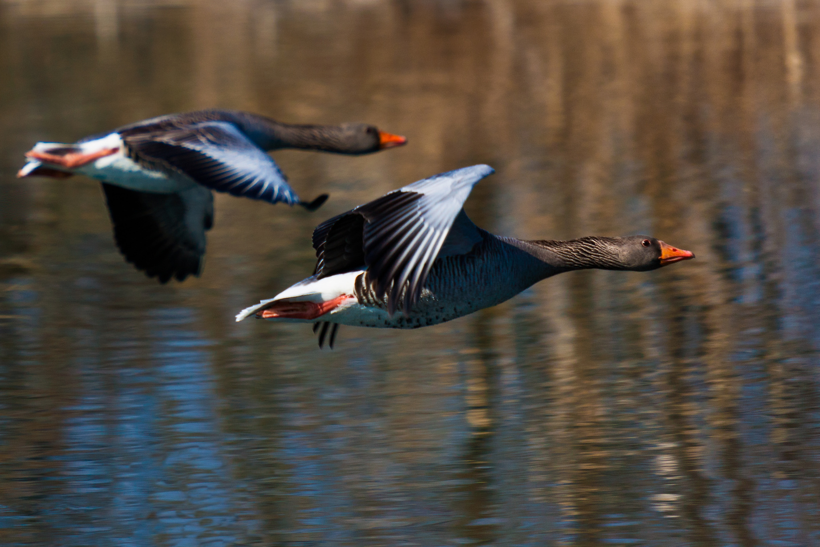 Der Vorbeiflug