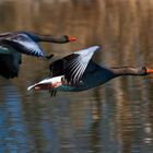 Der Vorbeiflug