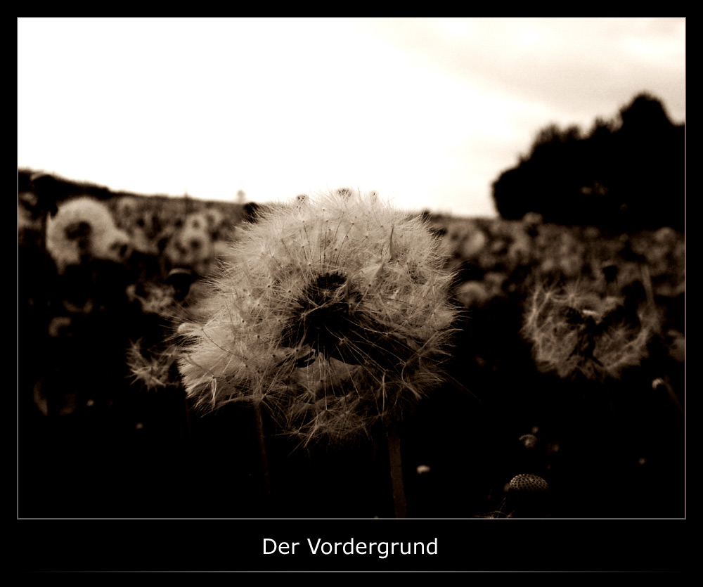 Der Vordergrund