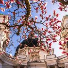 Der Vorhang.... Oder die Kathedrale und die Magnolien. 