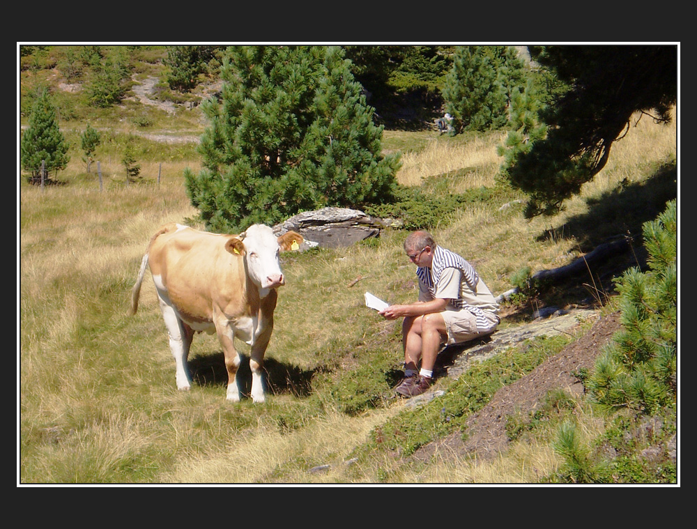 der vorleser.