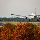 Der vorletzte Herbst 