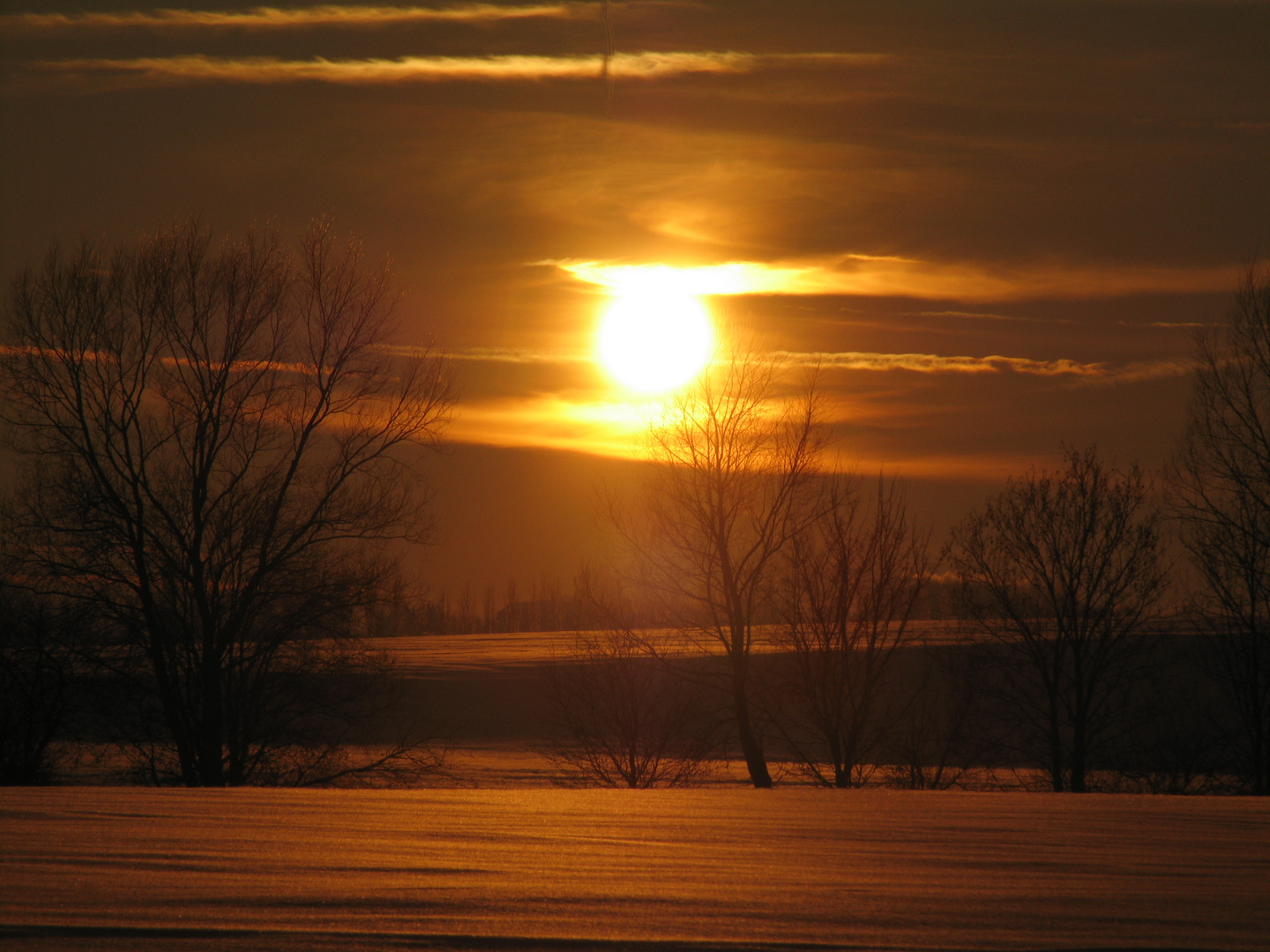 Der vorletzte Sonnenuntergang 2010