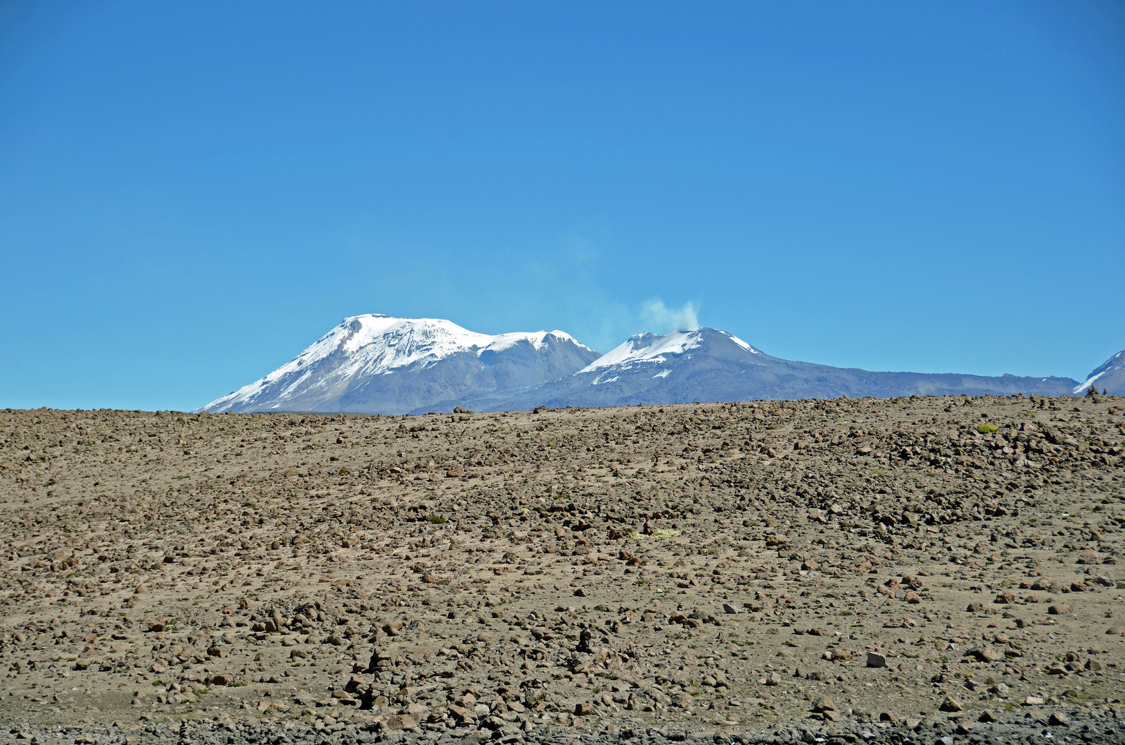 Der Vulkan Sabancaya (5976m) vom Patapampa-Pass (4900m)