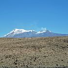 Der Vulkan Sabancaya (5976m) vom Patapampa-Pass (4900m)