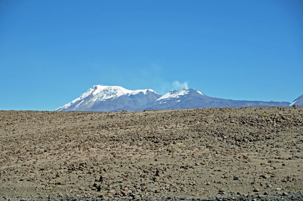 Der Vulkan Sabancaya (5976m) vom Patapampa-Pass (4900m)