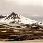 Der Vulkan Snæfell Austurland