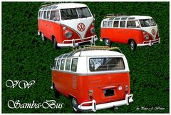 Der VW Samba-Bus