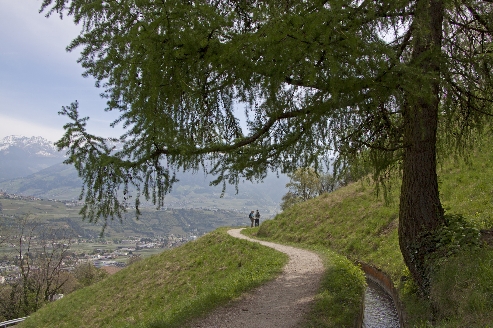 Der Waalweg in Marling