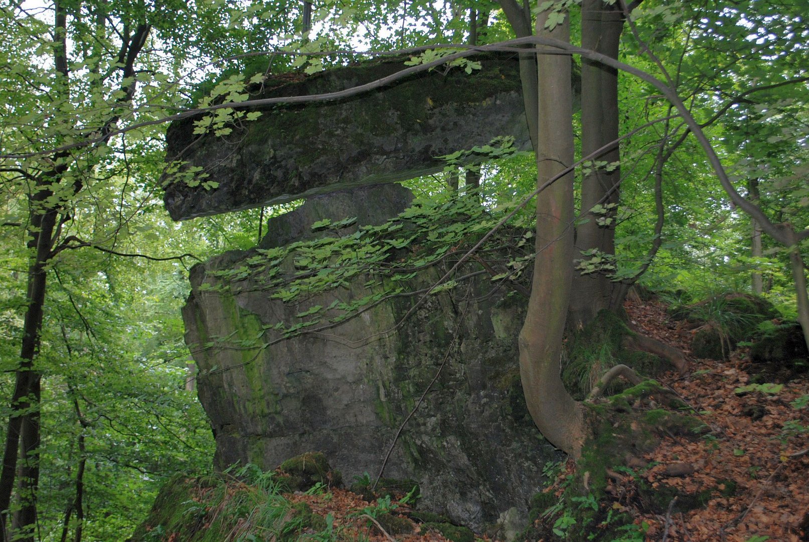 Der Wackelstein im Ith (Weserbergland)