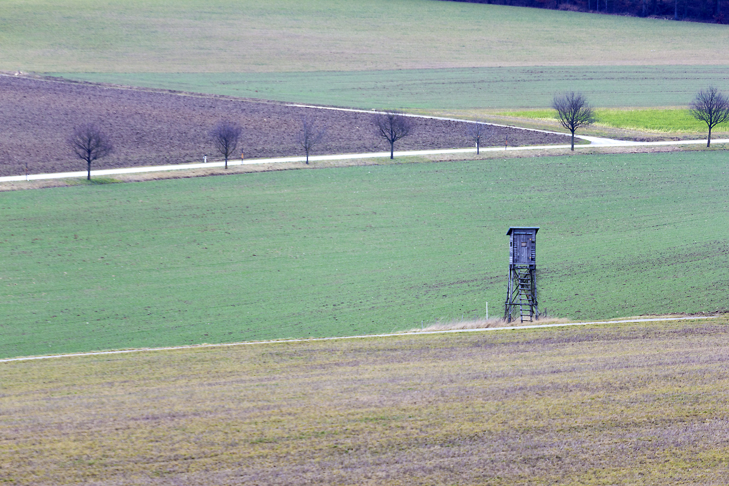 Der Wächter