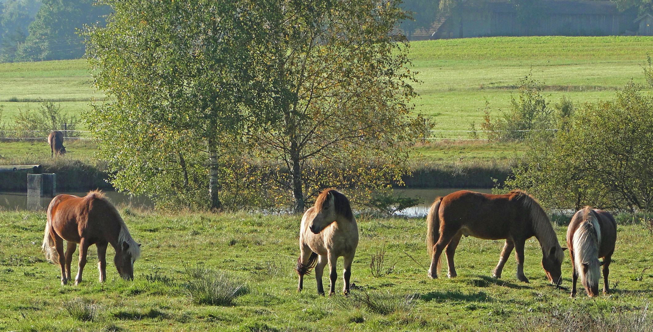 Der Wächter