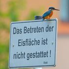 Der Wächter