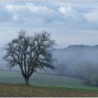 der wächter...