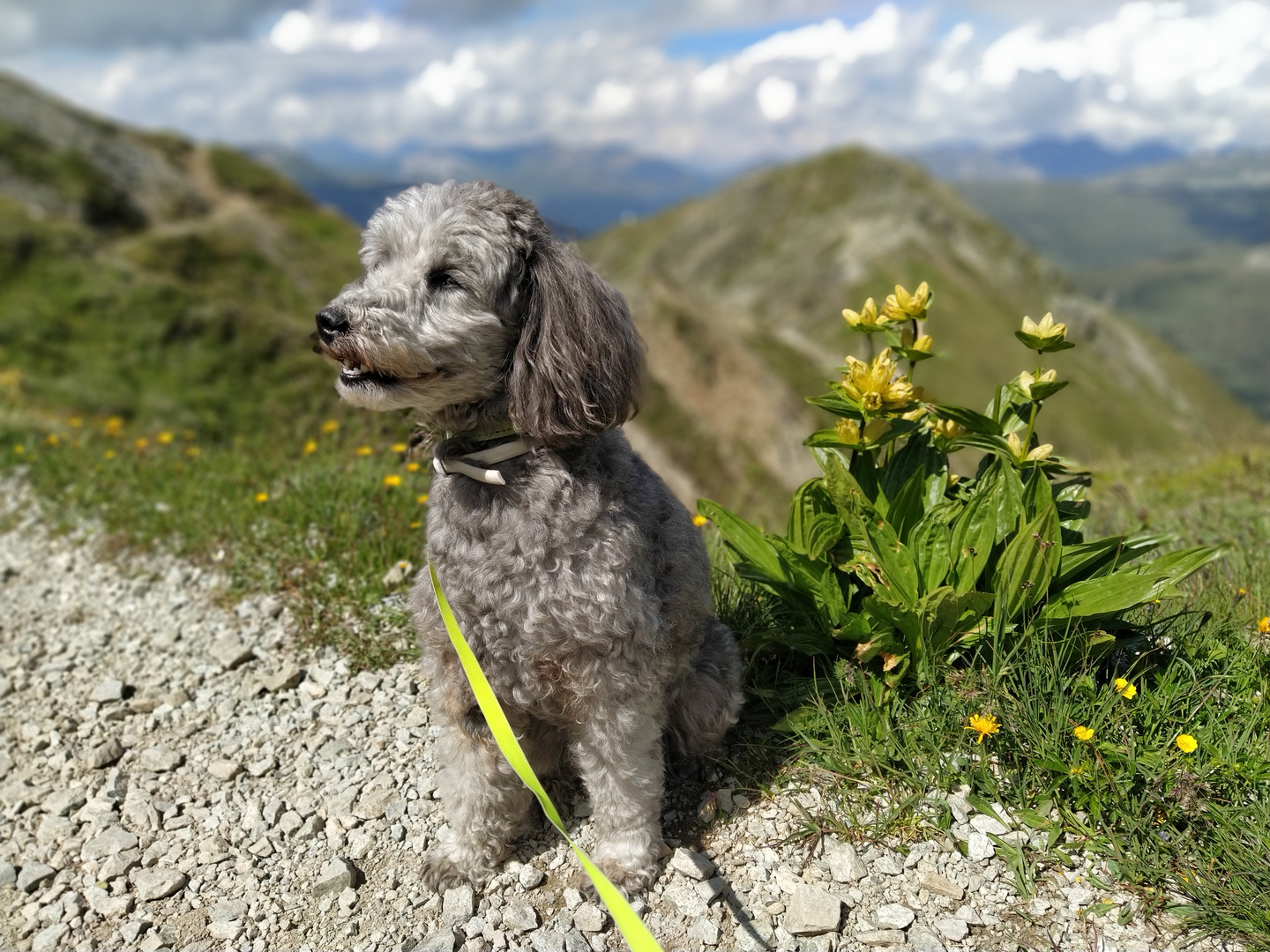 Der Wächter am Jakobshorn 1000 m über Davos