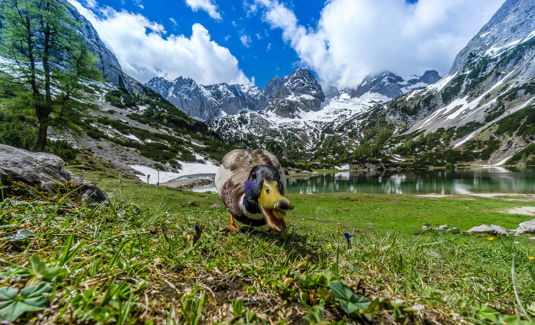 Der Wächter am Seebensee