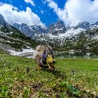 Der Wächter am Seebensee