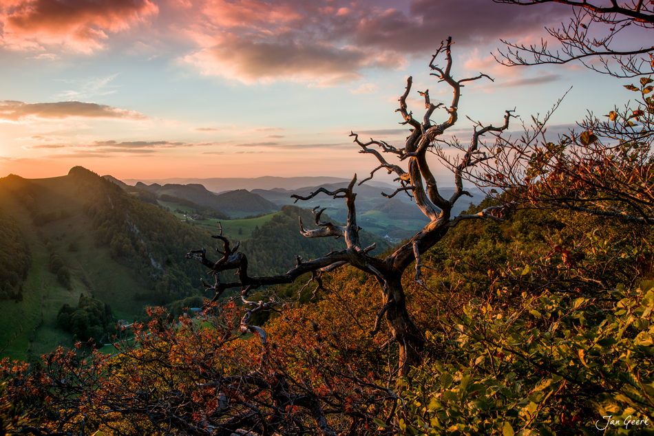 Der Wächter