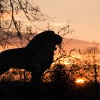 Der Wächter der Sonne...