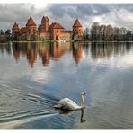 Der Wächter der Wasserburg