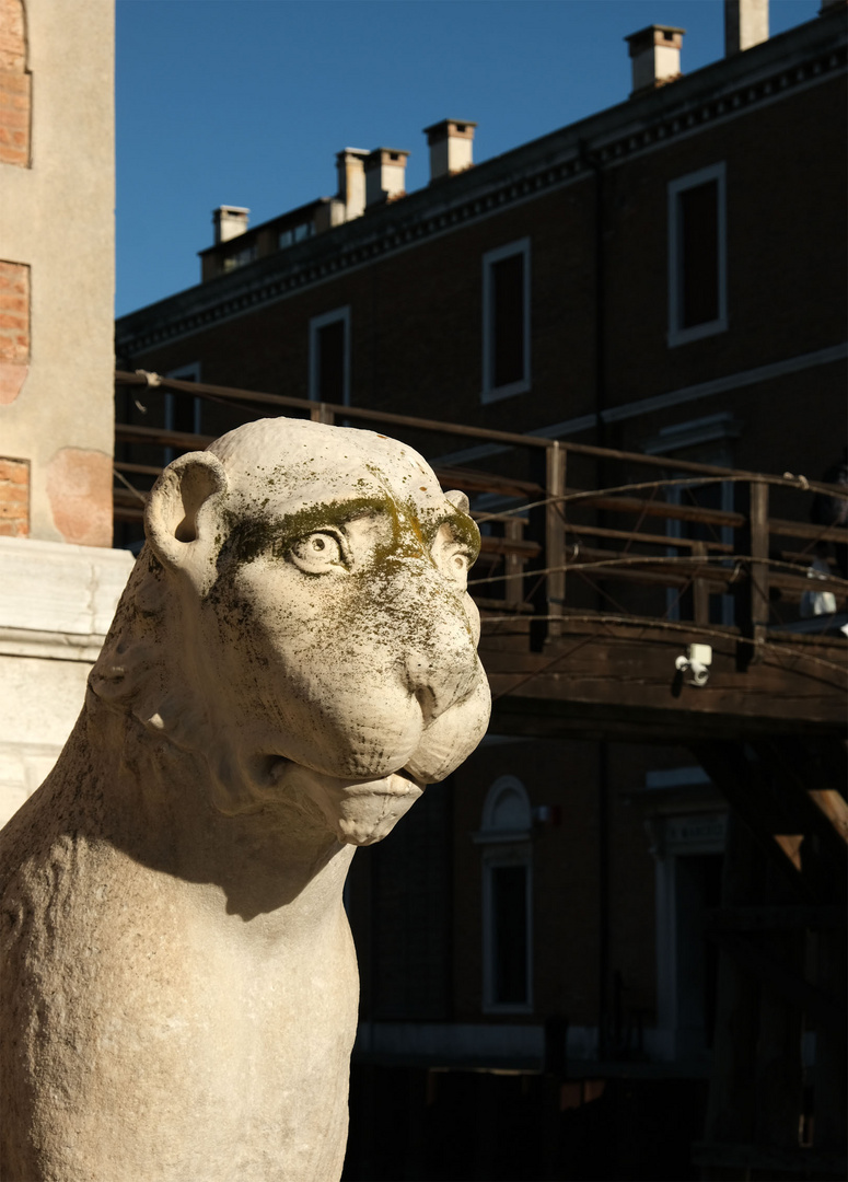 Der Wächter des Arsenale