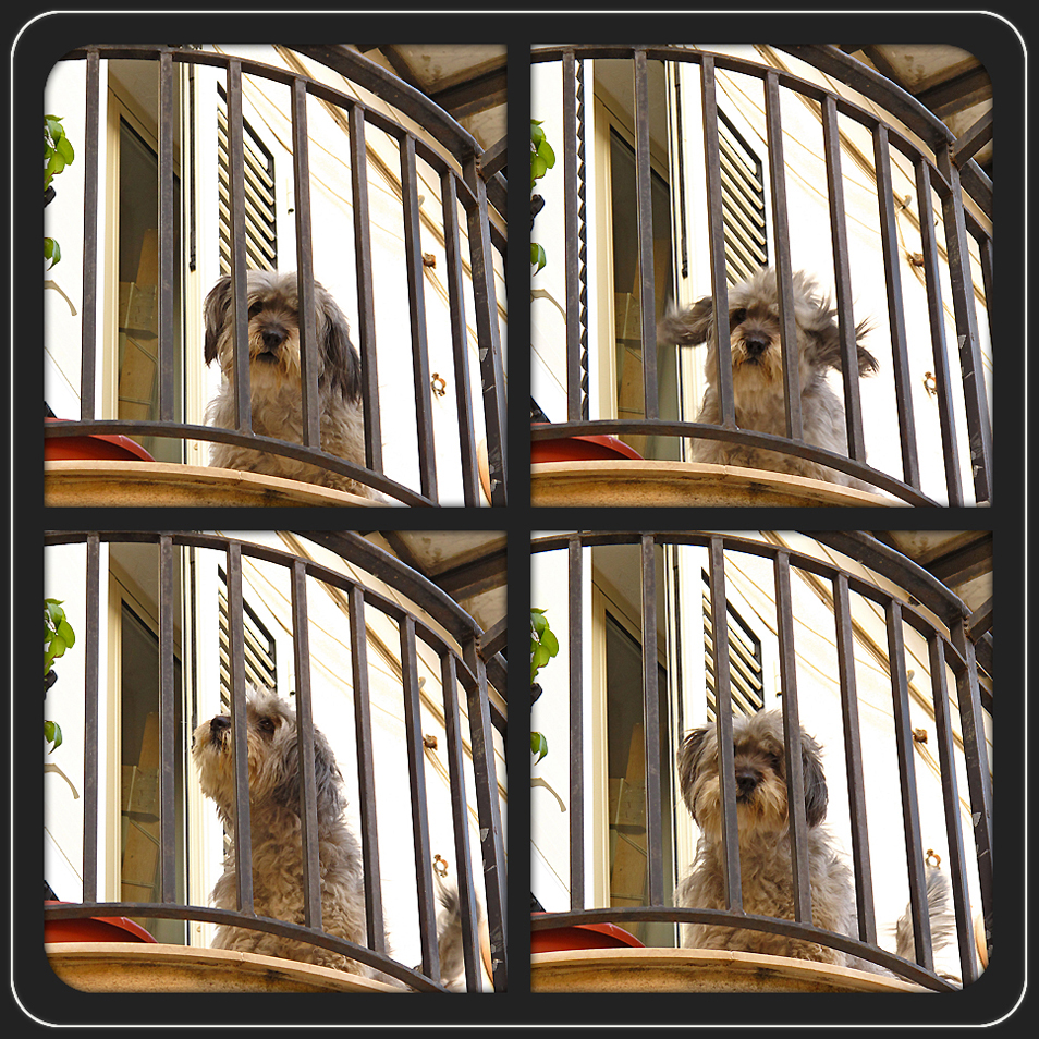 Der Wächter des Balkons / Il guardiano del balcone